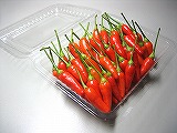�� ���Ƃ����炵500g�i�Ⓚ�i�j��t���Y [ff01106]